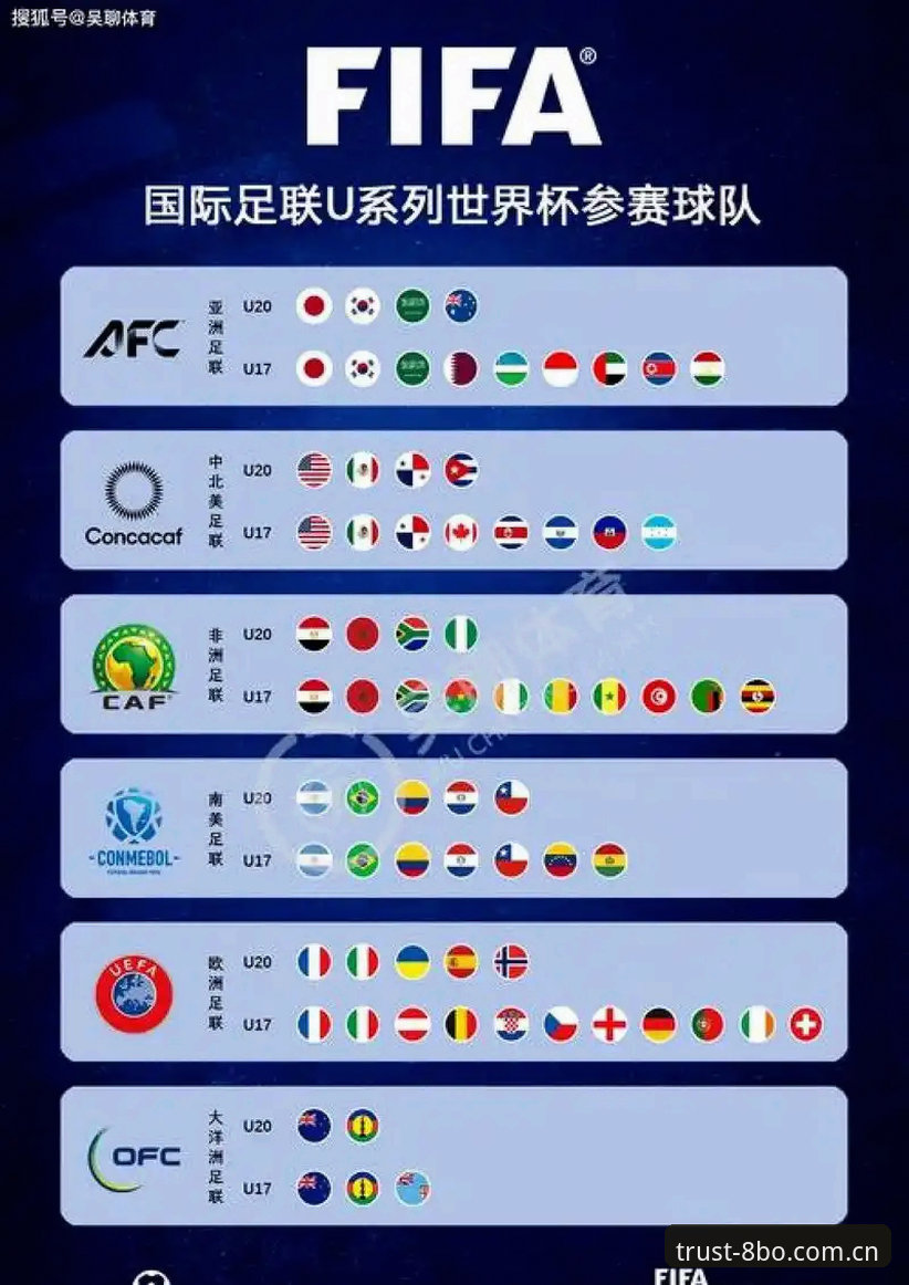 2030年世界杯扩军66队操作教程：从概念到现实的详细分析